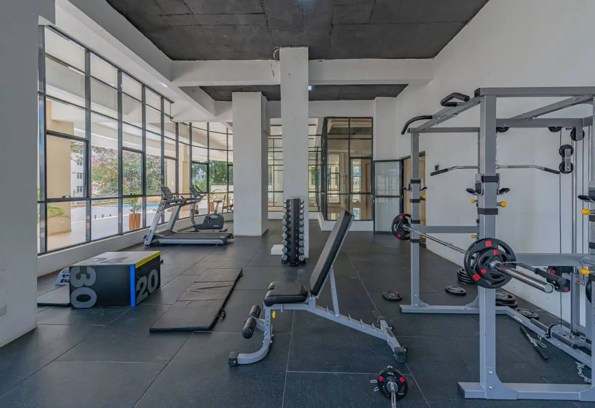 Modern gym space with cardio machines and weight equipment