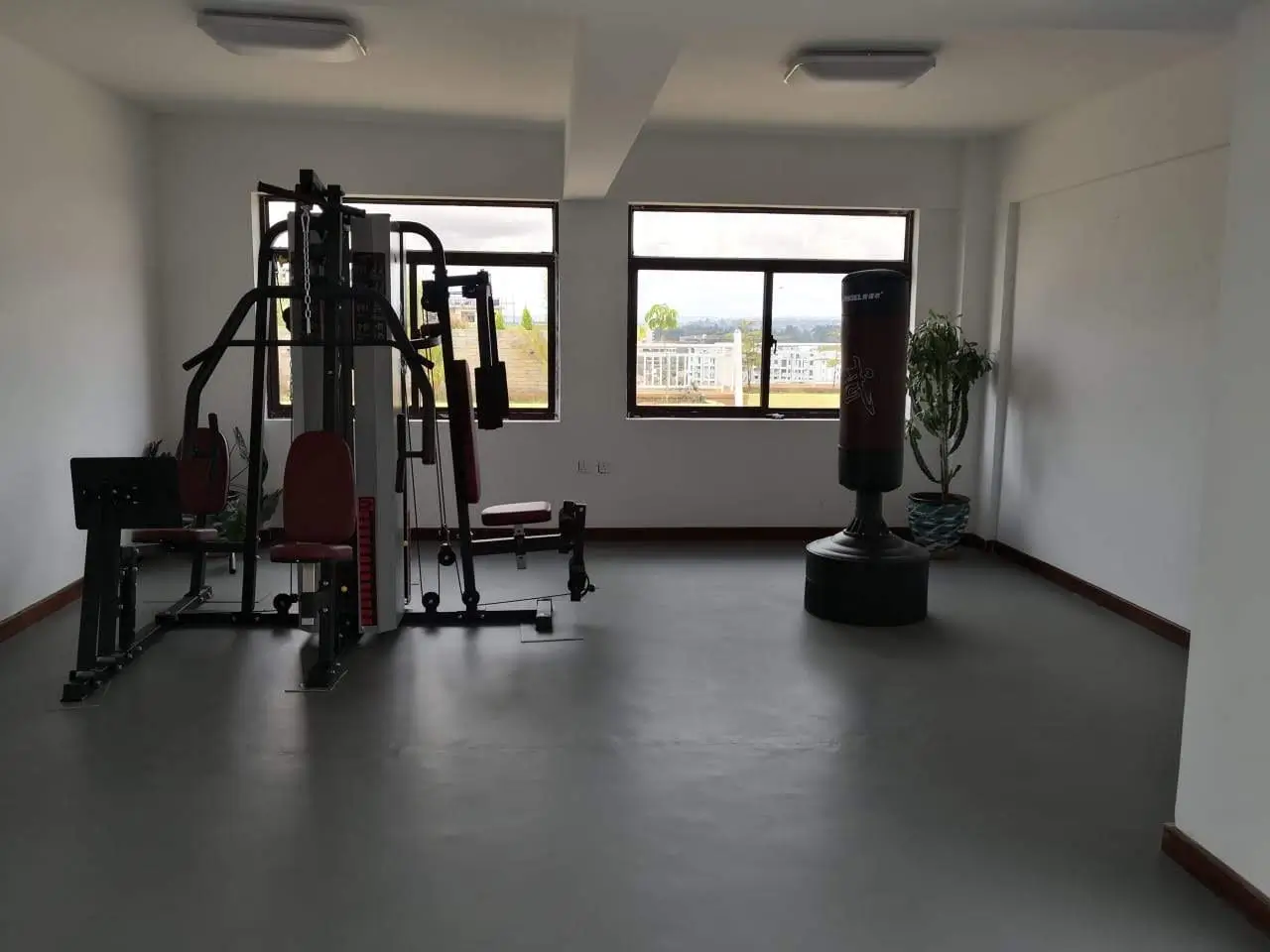 Spacious gym with multi-station equipment and city views
