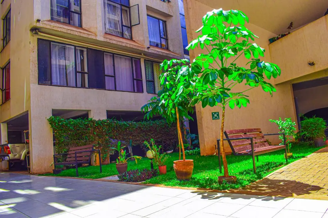 Landscaped compound courtyard with mature tree and seating