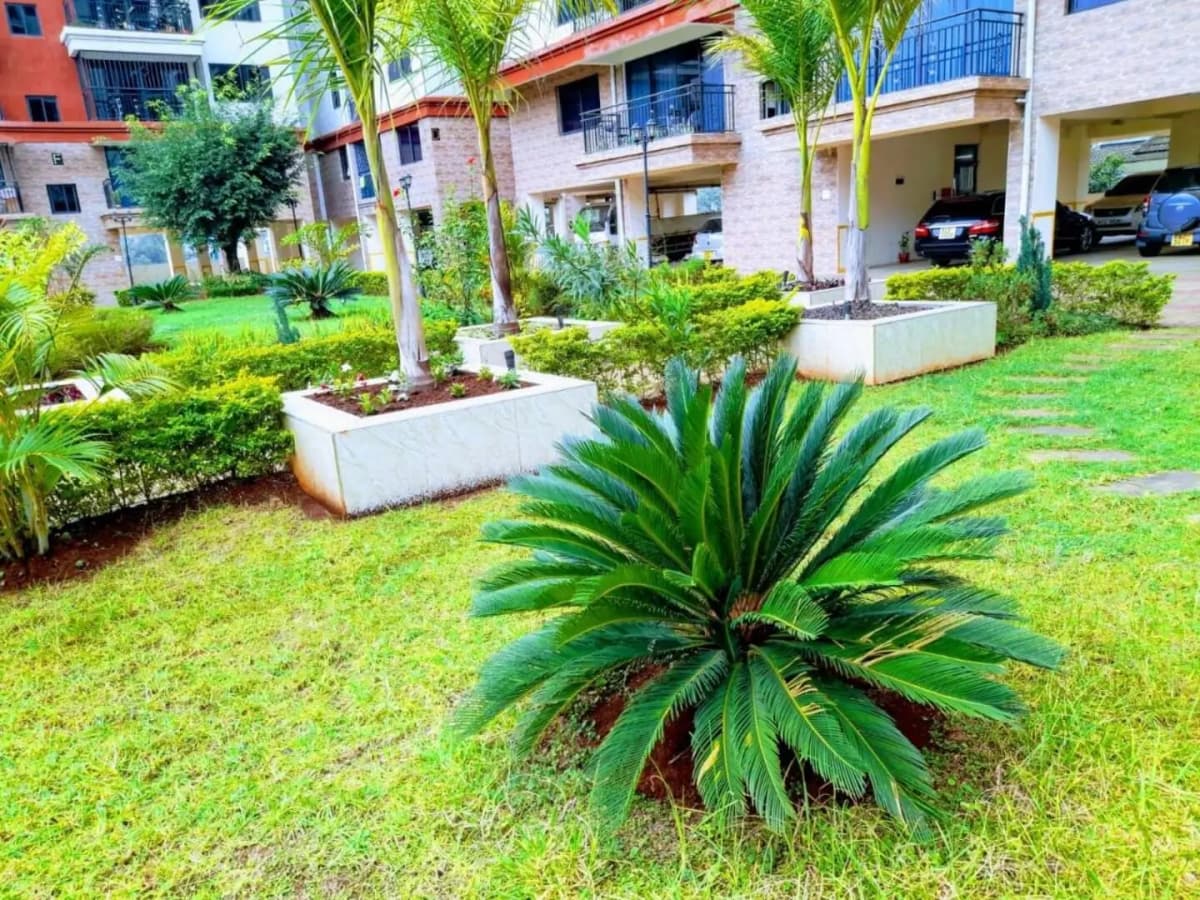 Lush compound garden with manicured lawn, palm trees, planters