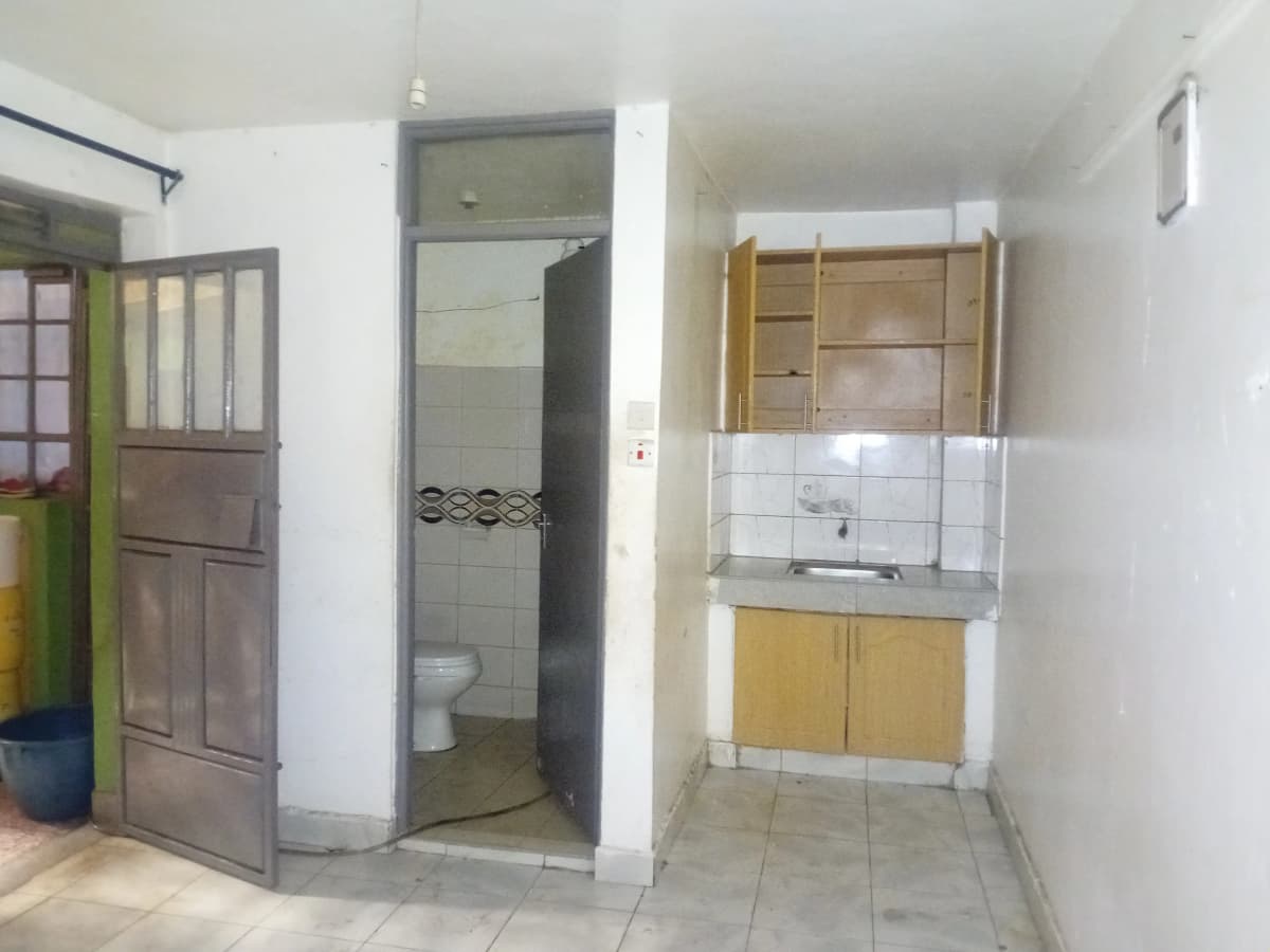 Compact bathroom with shower cubicle and adjacent kitchenette