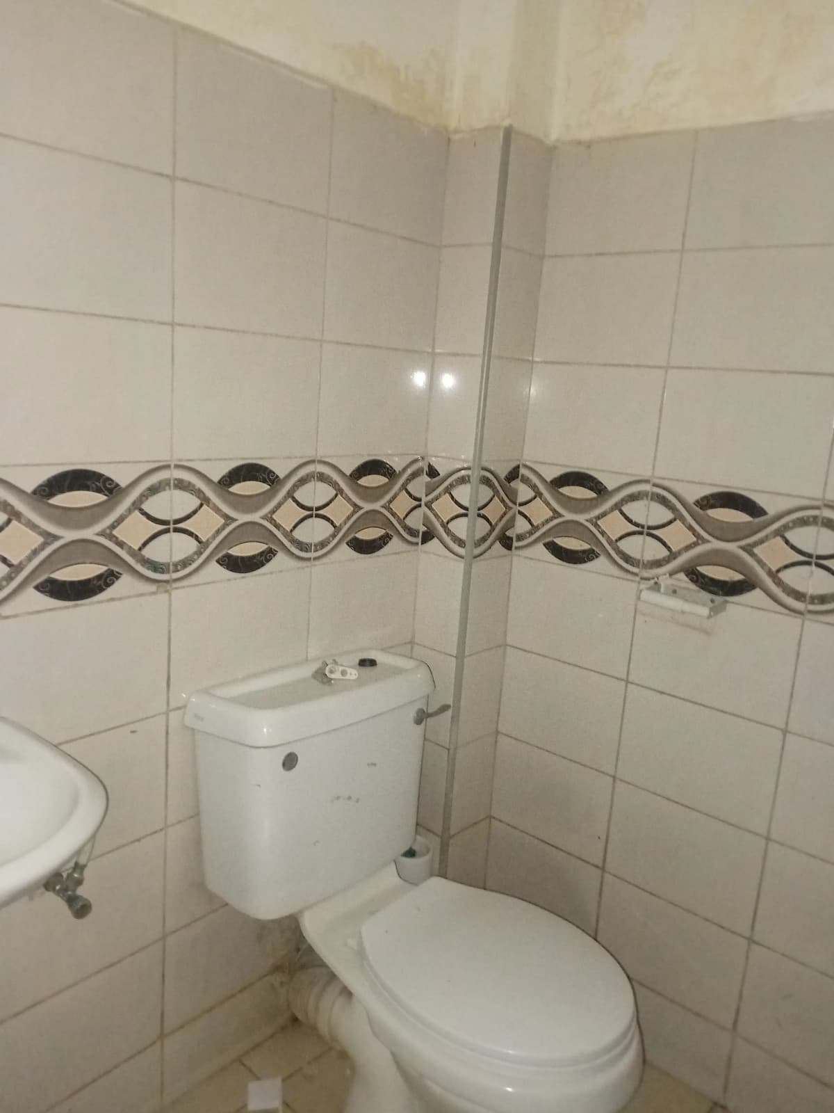 Simple bathroom with toilet, cistern, and decorative tile border