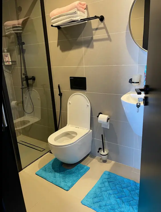 Modern bathroom with toilet, sink, and walk-in shower