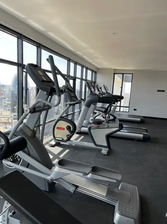 Modern gym with cardio equipment and city views