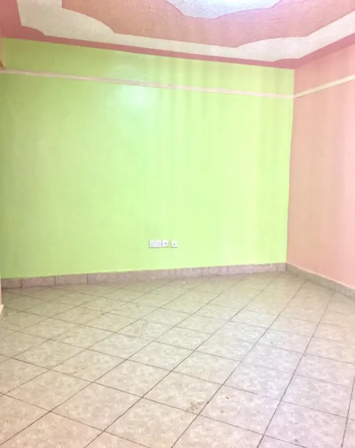 Empty room with pink and green walls, tiled floor