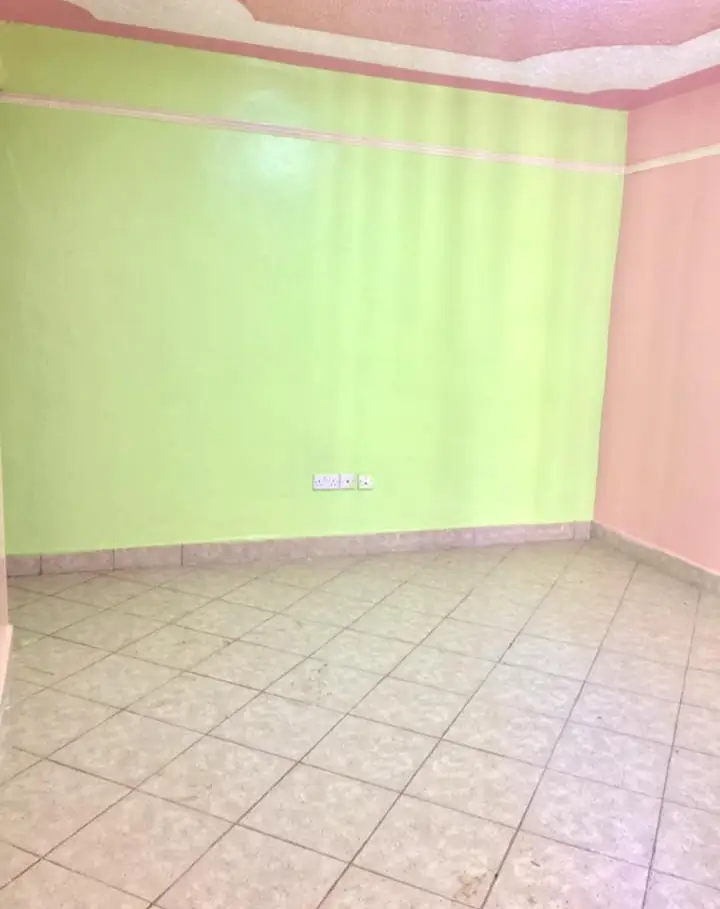 Empty room with lime green and pink painted walls