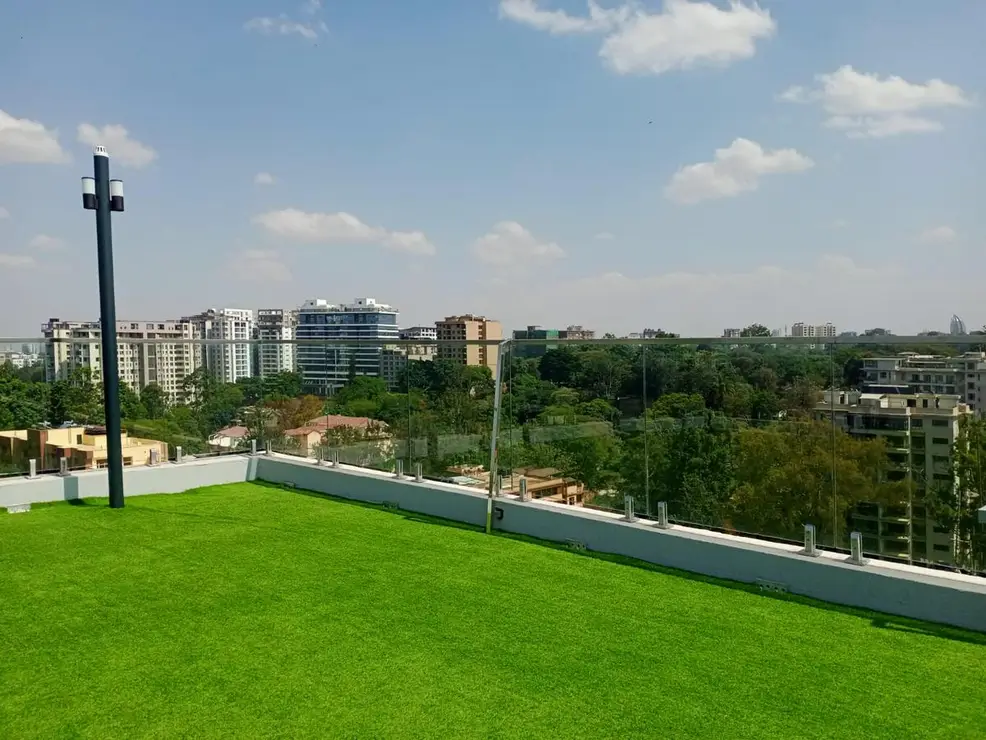 Rooftop with city skyline and green landscape views