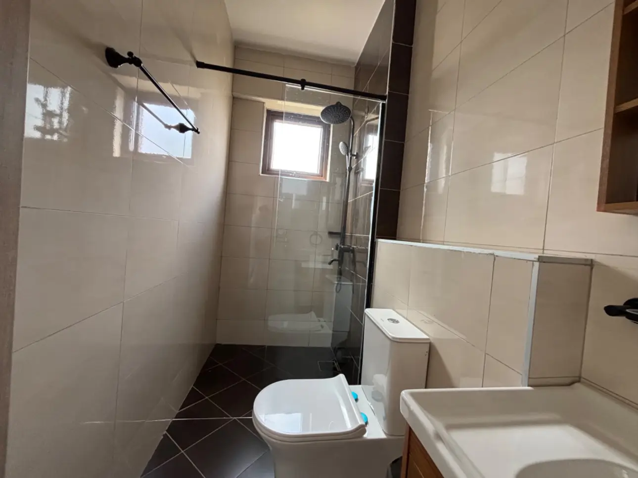 Modern bathroom with walk-in shower, basin, and toilet
