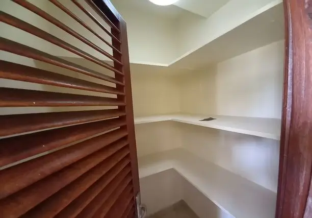 Compact pantry with wooden louvered door and white shelving