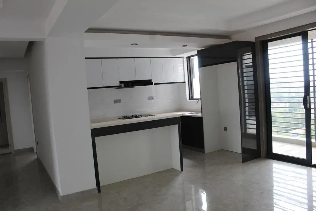 Modern open-plan kitchen with black and white cabinetry, island counter