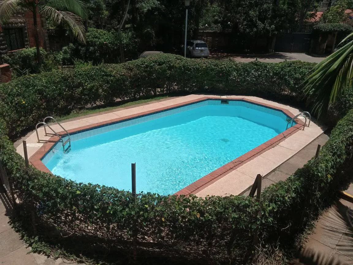 Kidney-shaped swimming pool with terracotta deck and hedge surround