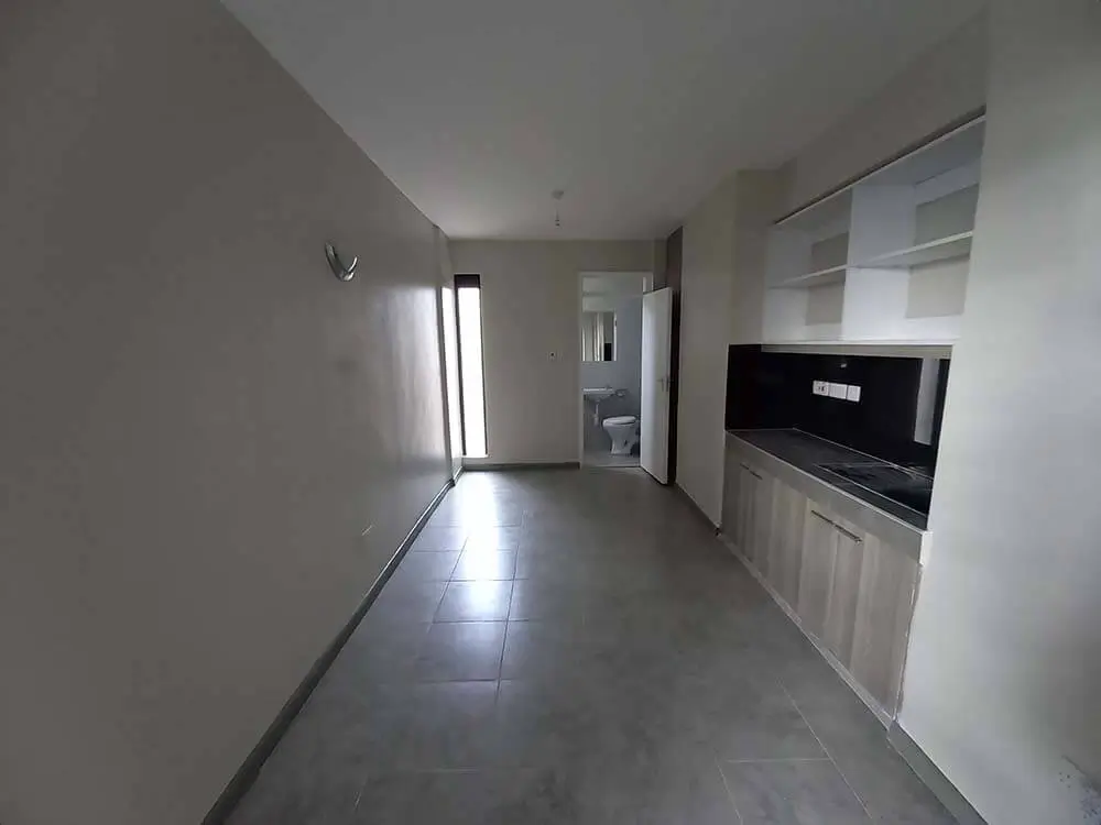 Modern kitchen with built-in appliances and bright corridor entry
