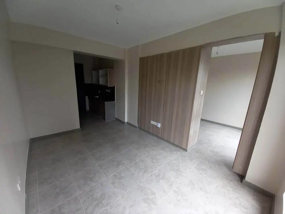 Open-plan living and kitchen area with polished concrete floors