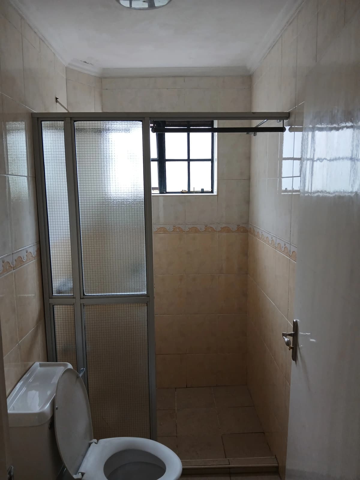 Compact bathroom with shower enclosure and toilet