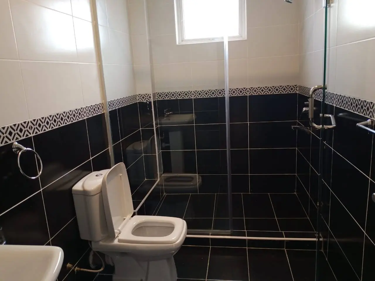 Black and white tiled bathroom with toilet and walk-in shower