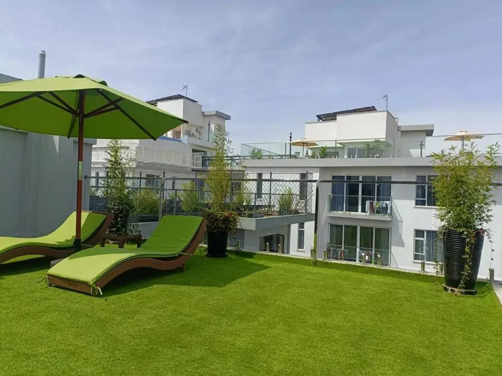Manicured lawn with loungers, umbrella, and modern residential building