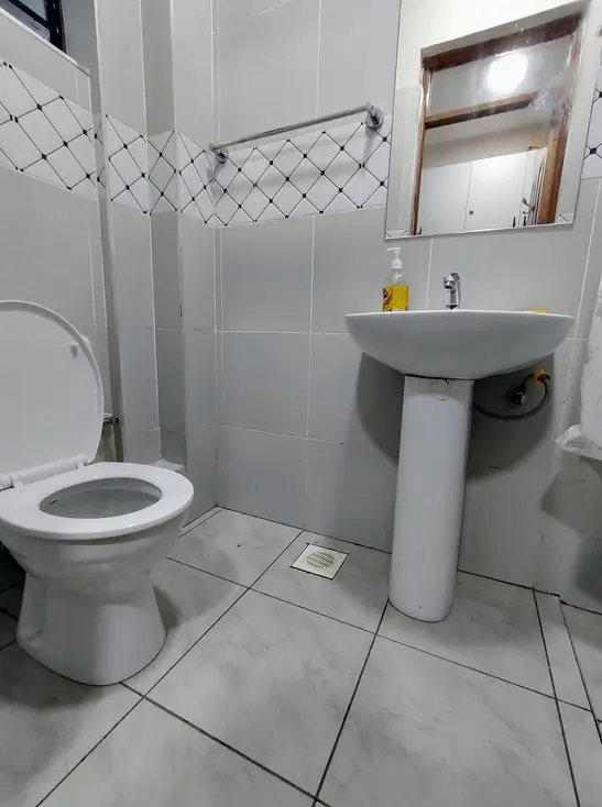 Compact bathroom with pedestal sink, toilet, and shower enclosure