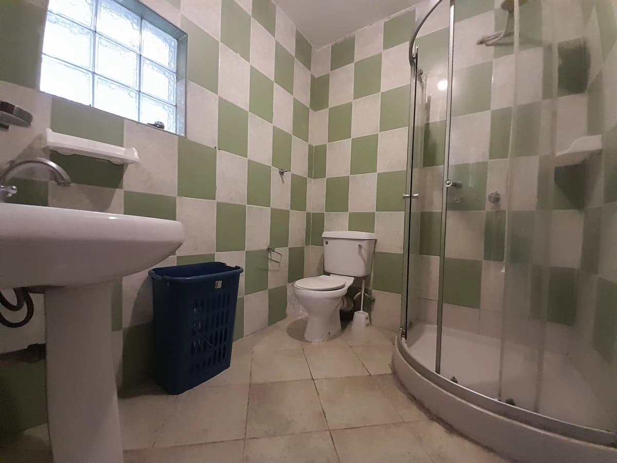 Spacious bathroom with green and white checkered tiles, toilet, sink, and shower enclosure.