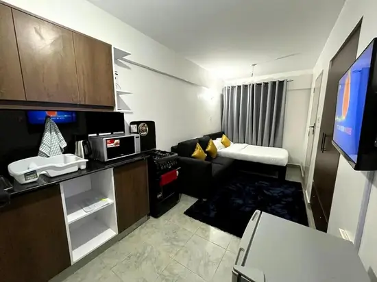 Open-plan studio with kitchenette, sofa, and entertainment setup