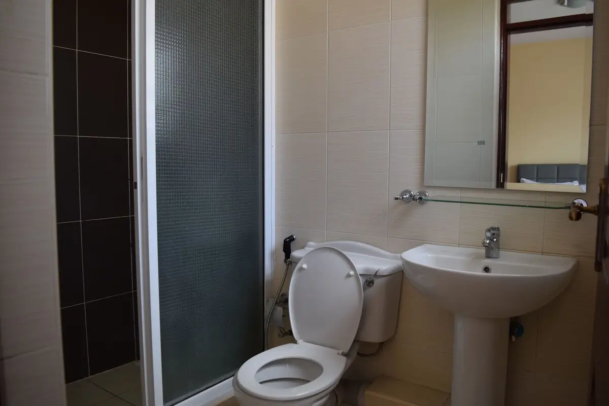 Modern bathroom with shower enclosure, pedestal sink, toilet