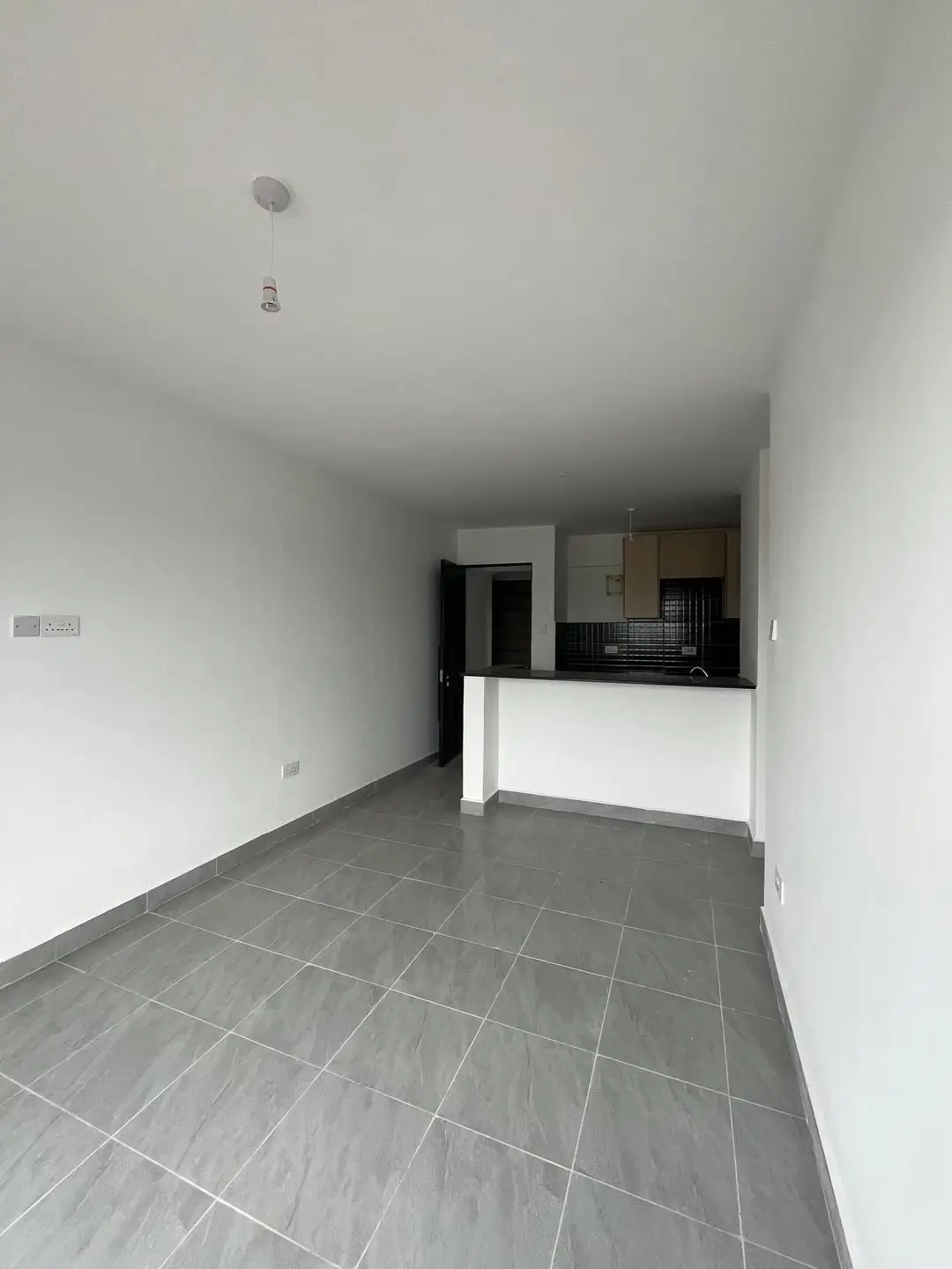 Open-plan living area with kitchen visible beyond partition