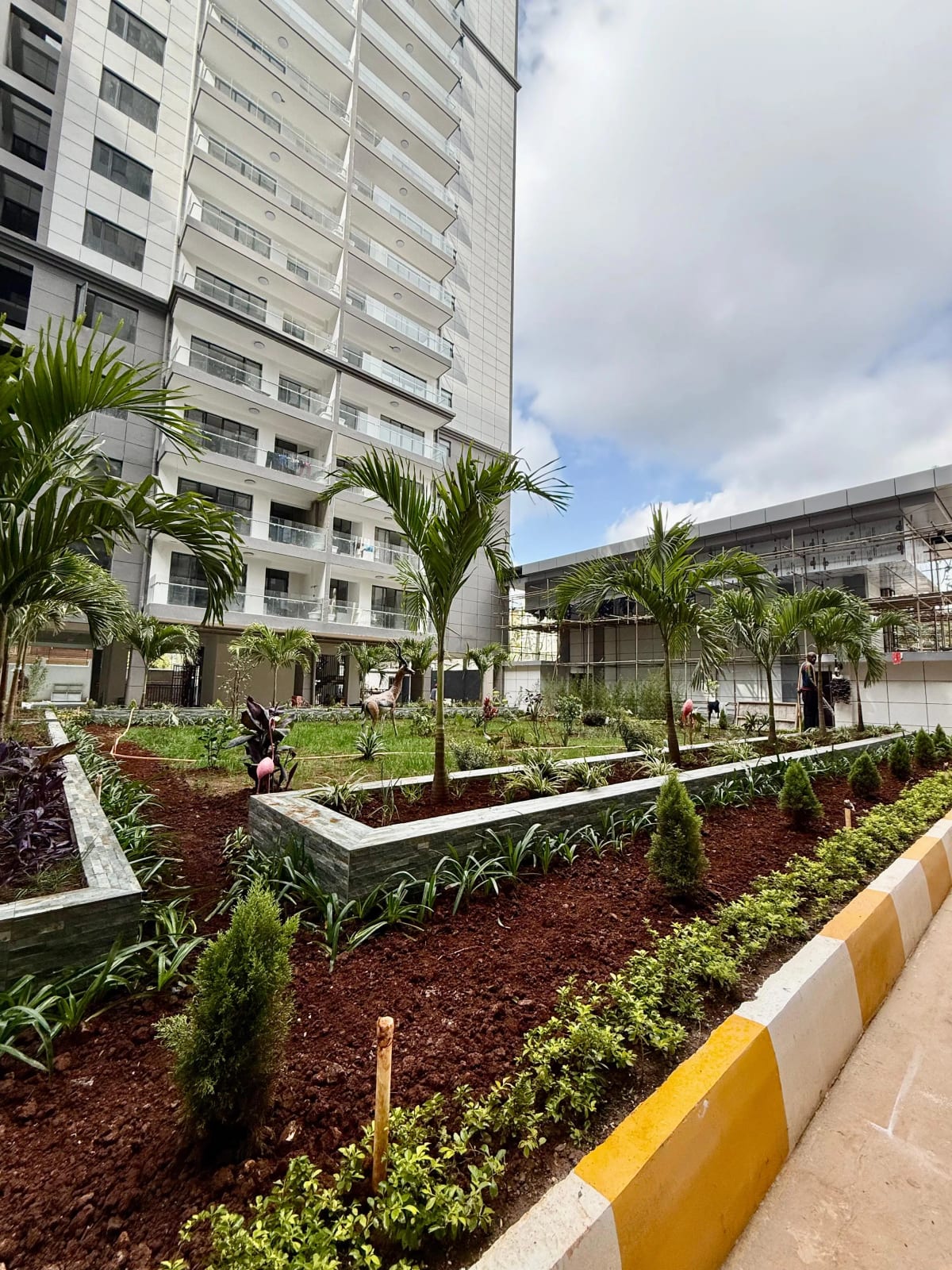 Landscaped compound garden with palm trees beside tall apartment block