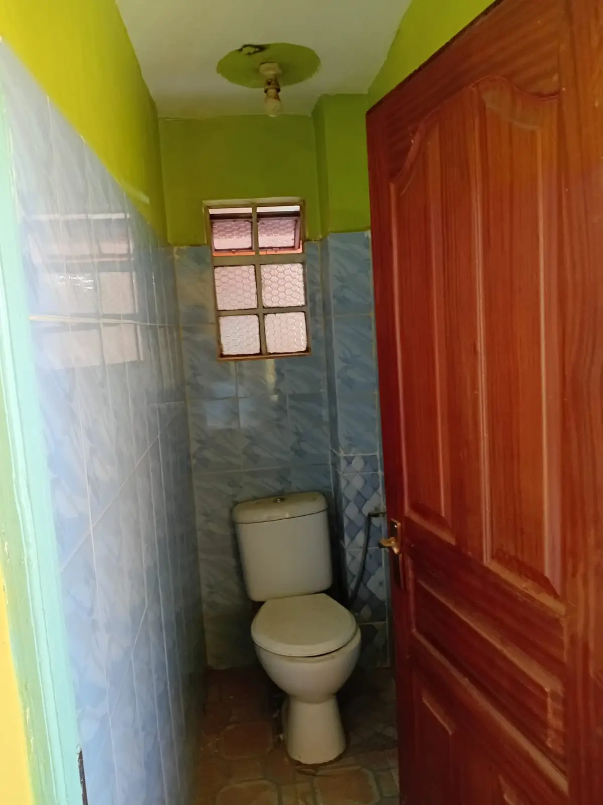 Compact bathroom with toilet and small window, lime green ceiling