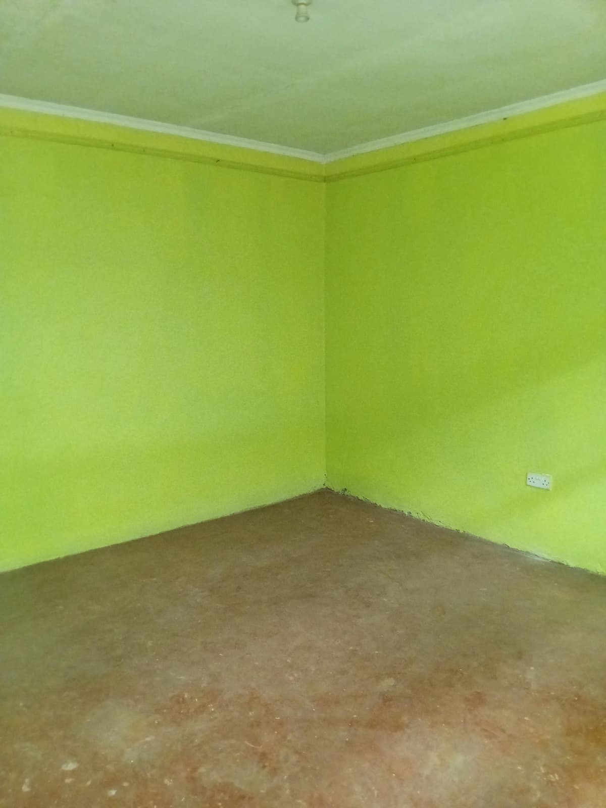 Empty room with lime green walls and concrete floor