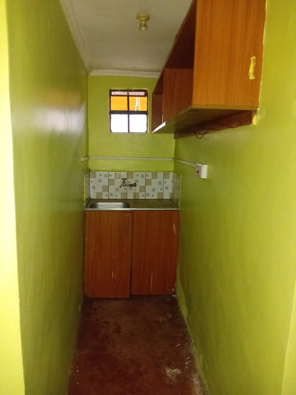 Compact kitchen with wooden cabinets and lime-green walls