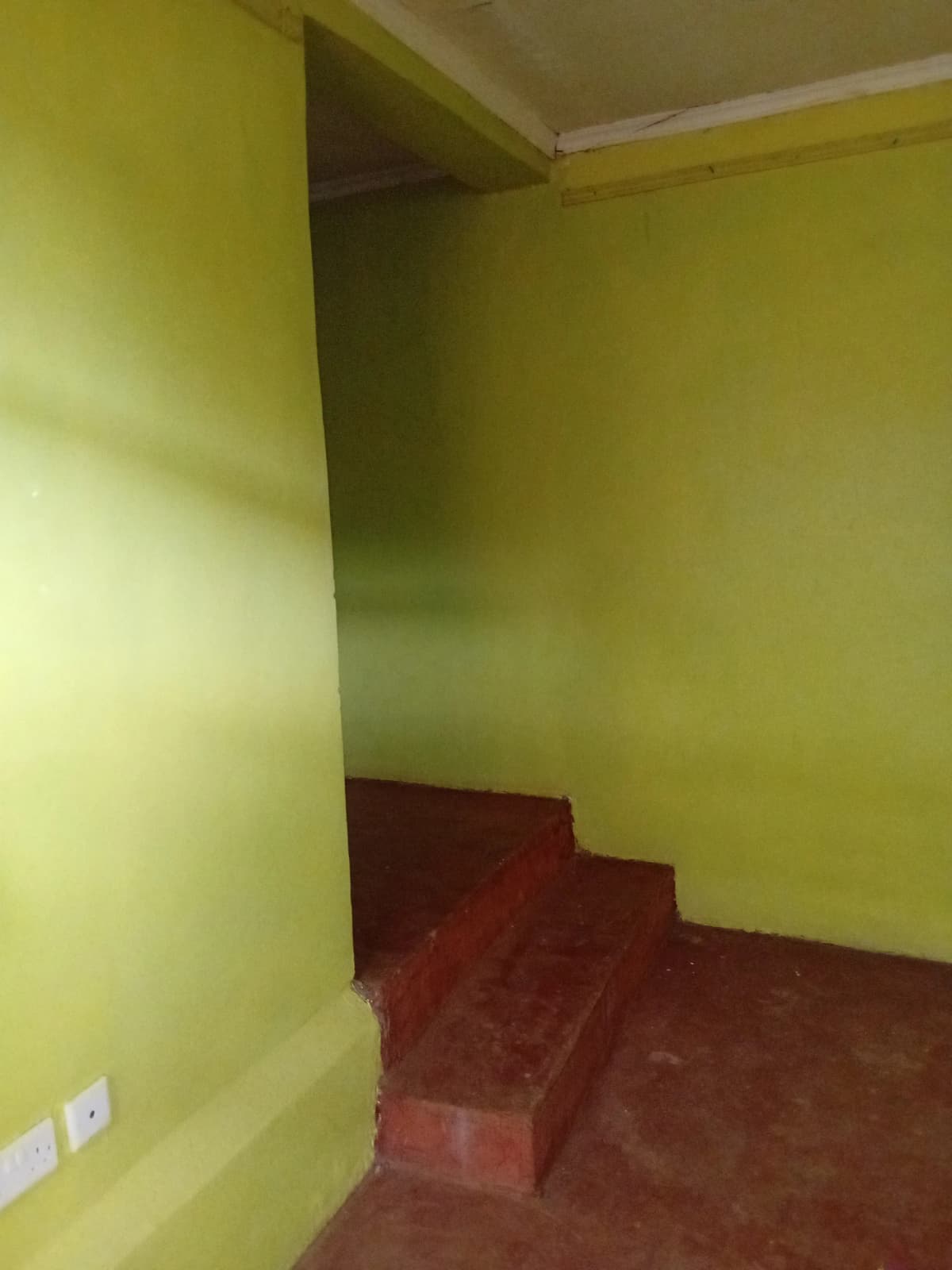 Empty room with lime green walls and red floor