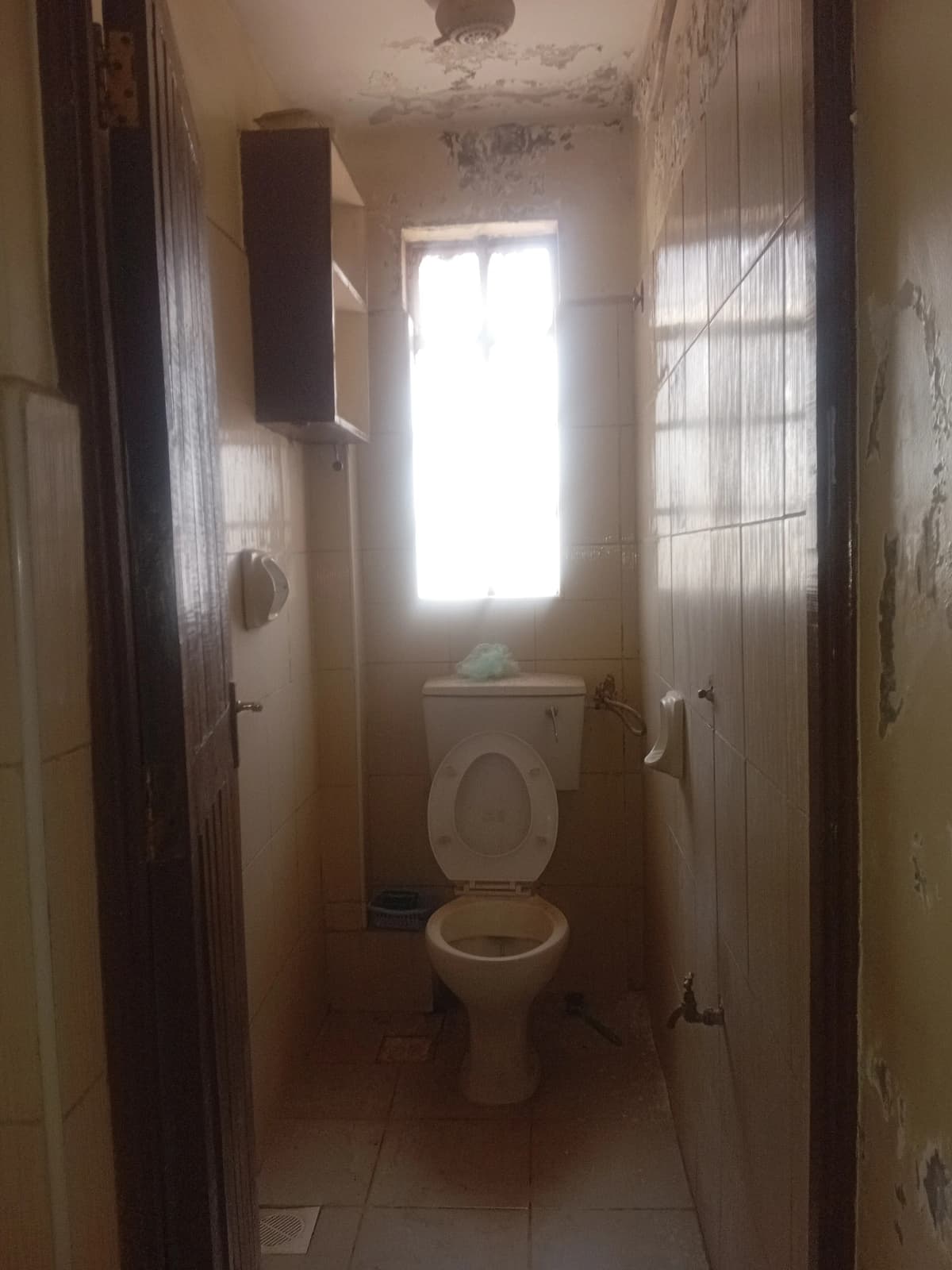 Compact bathroom with toilet and natural light from door