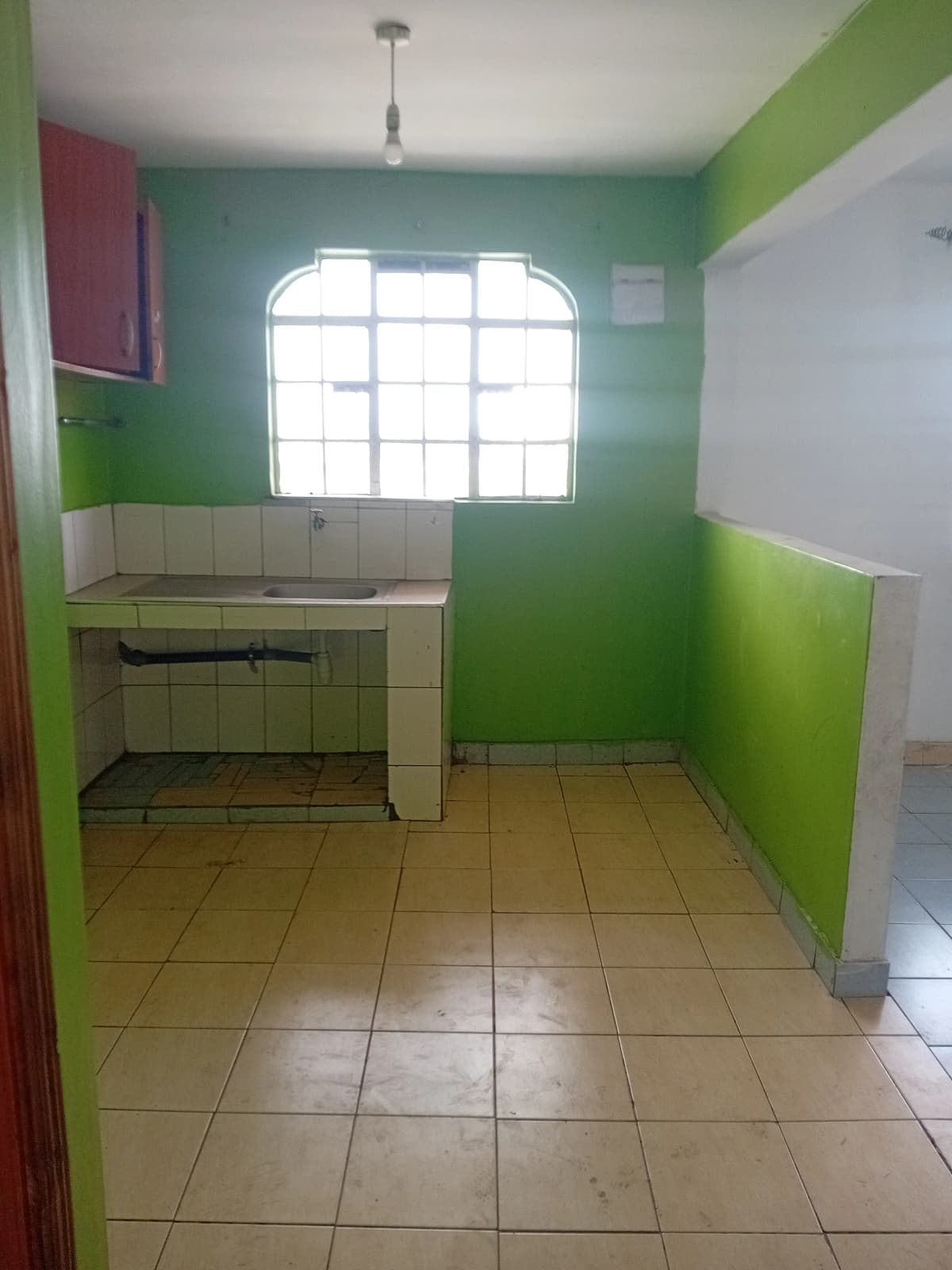 Compact kitchen with green walls and basic cabinetry