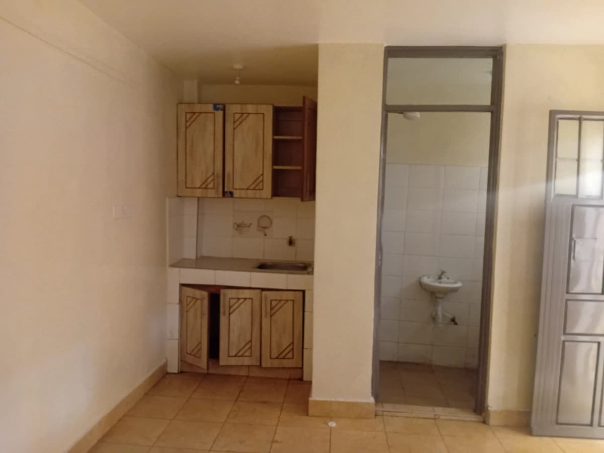 Open-plan kitchen with wooden cabinets, bathroom visible through doorway
