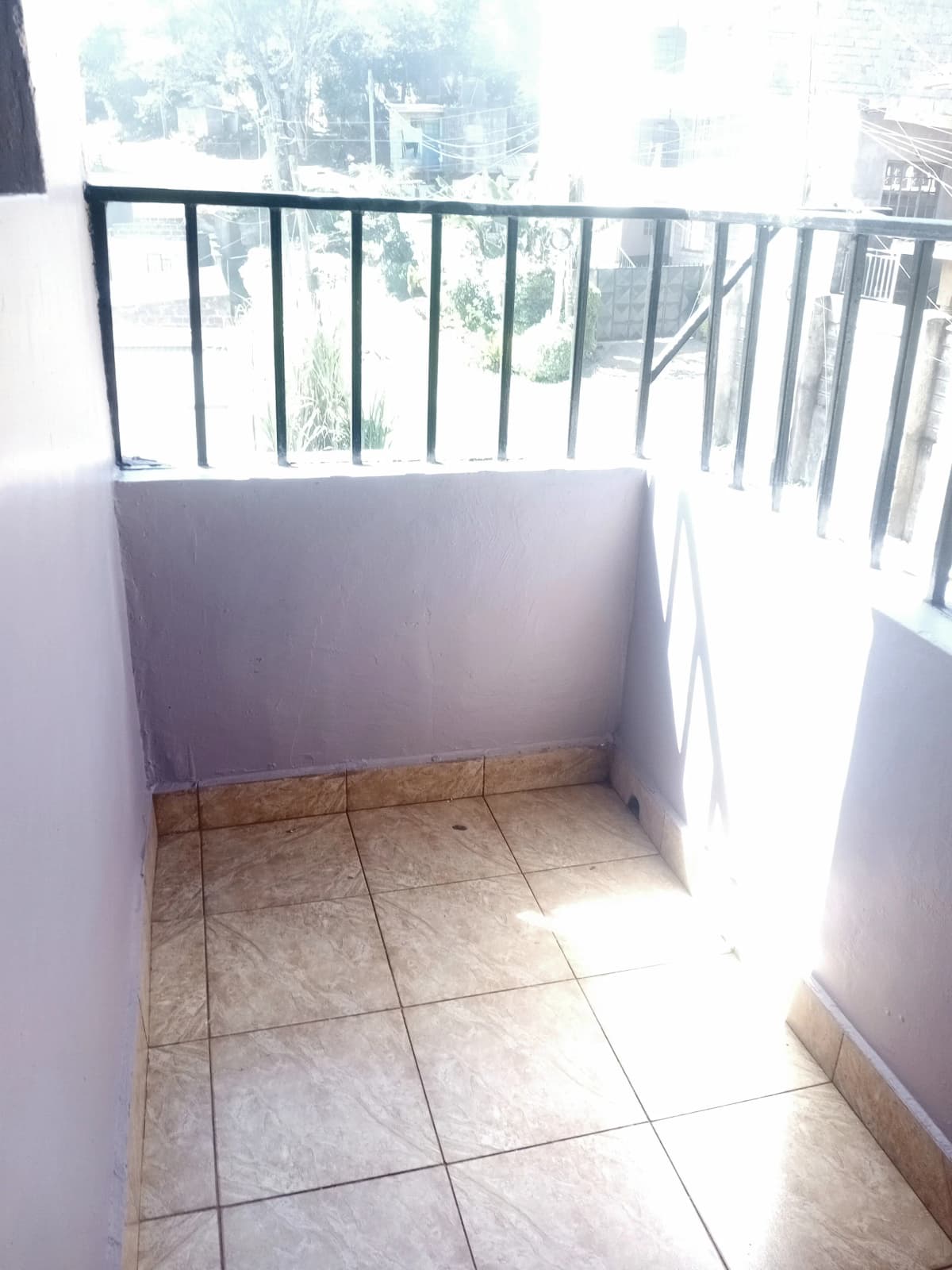 Bright balcony with city views and metal railings