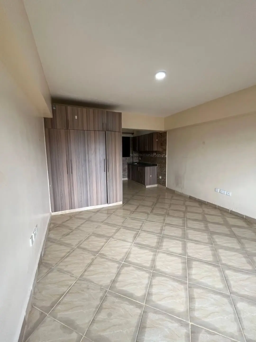 Open-plan living area with kitchen visible in background