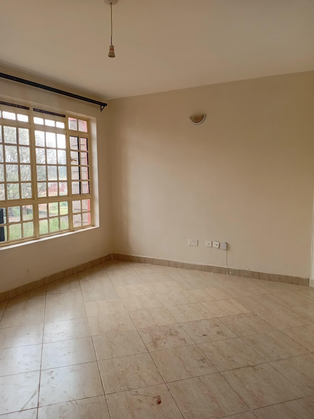 Spacious empty living room with large gridded windows