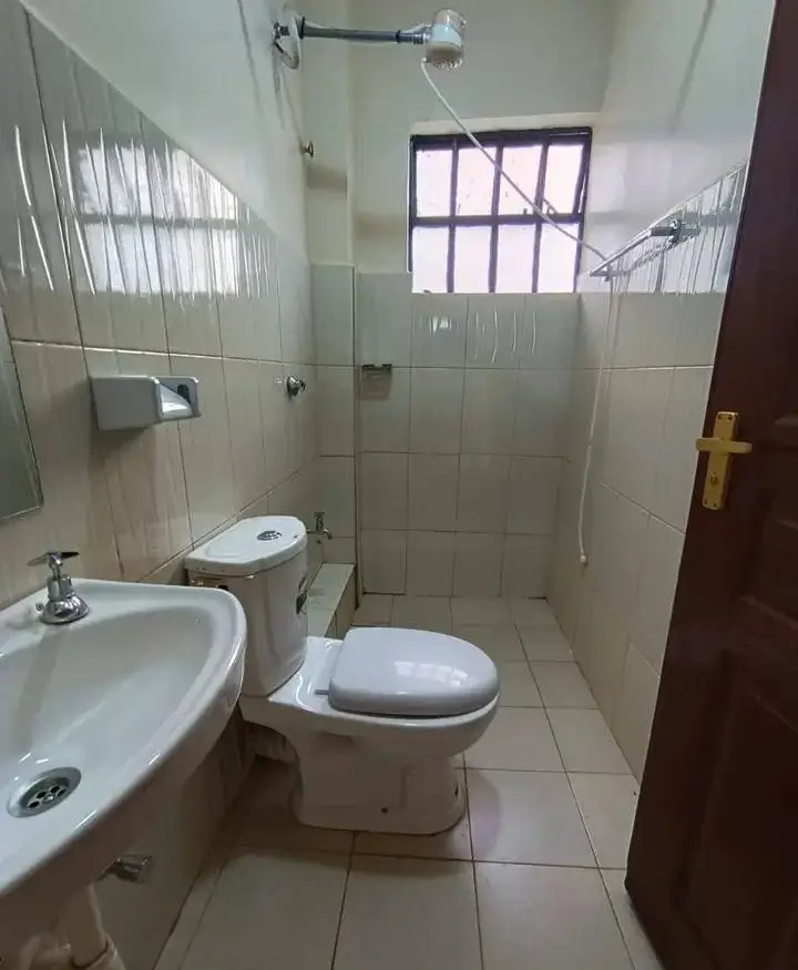 Compact bathroom with toilet, sink, and walk-in shower