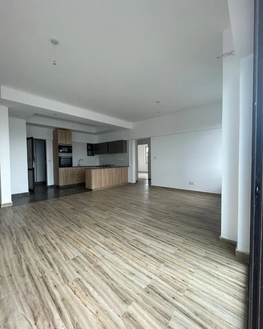 Open-plan living area with integrated kitchen and wood flooring