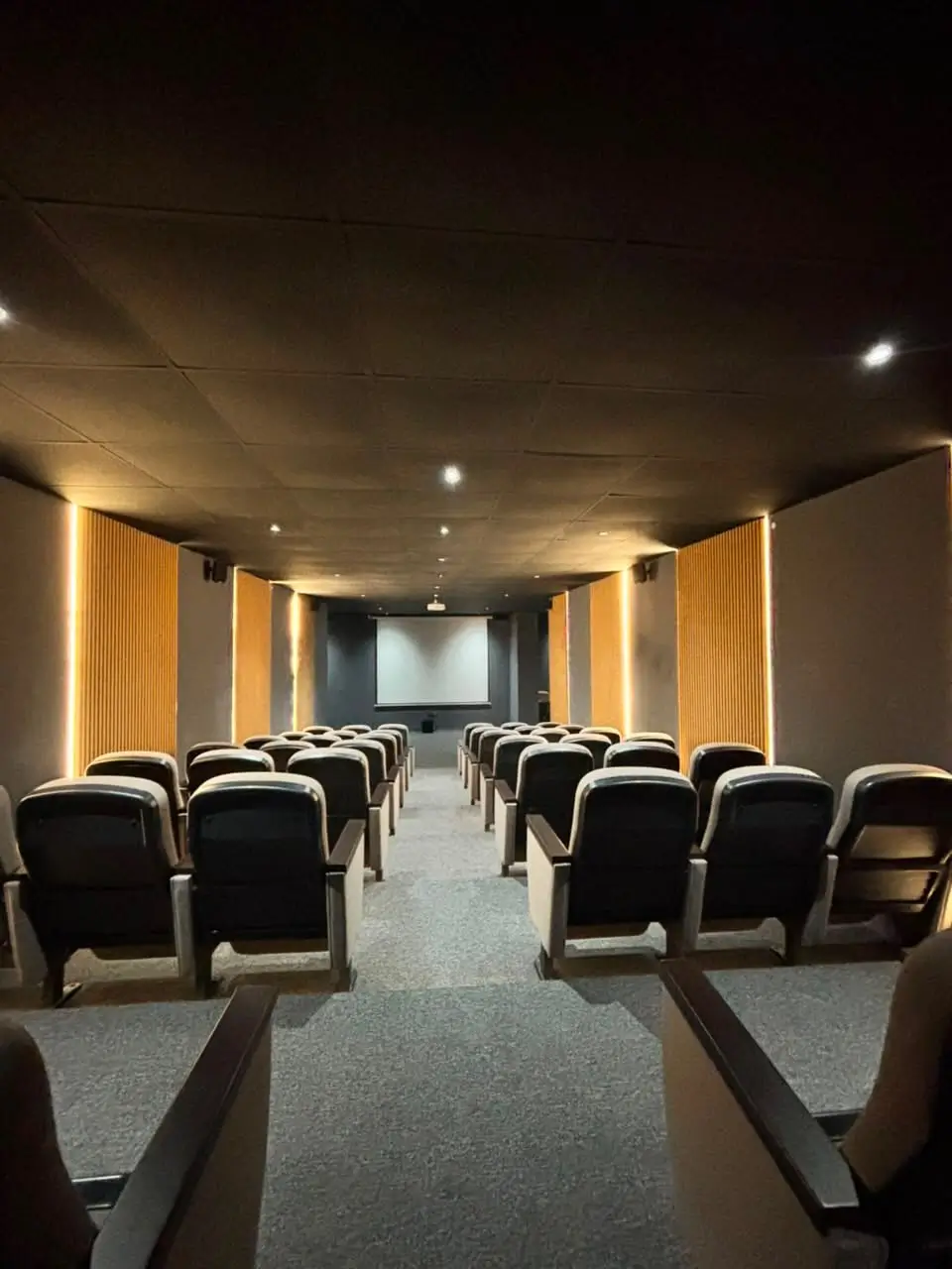 Private screening room with tiered auditorium-style seating