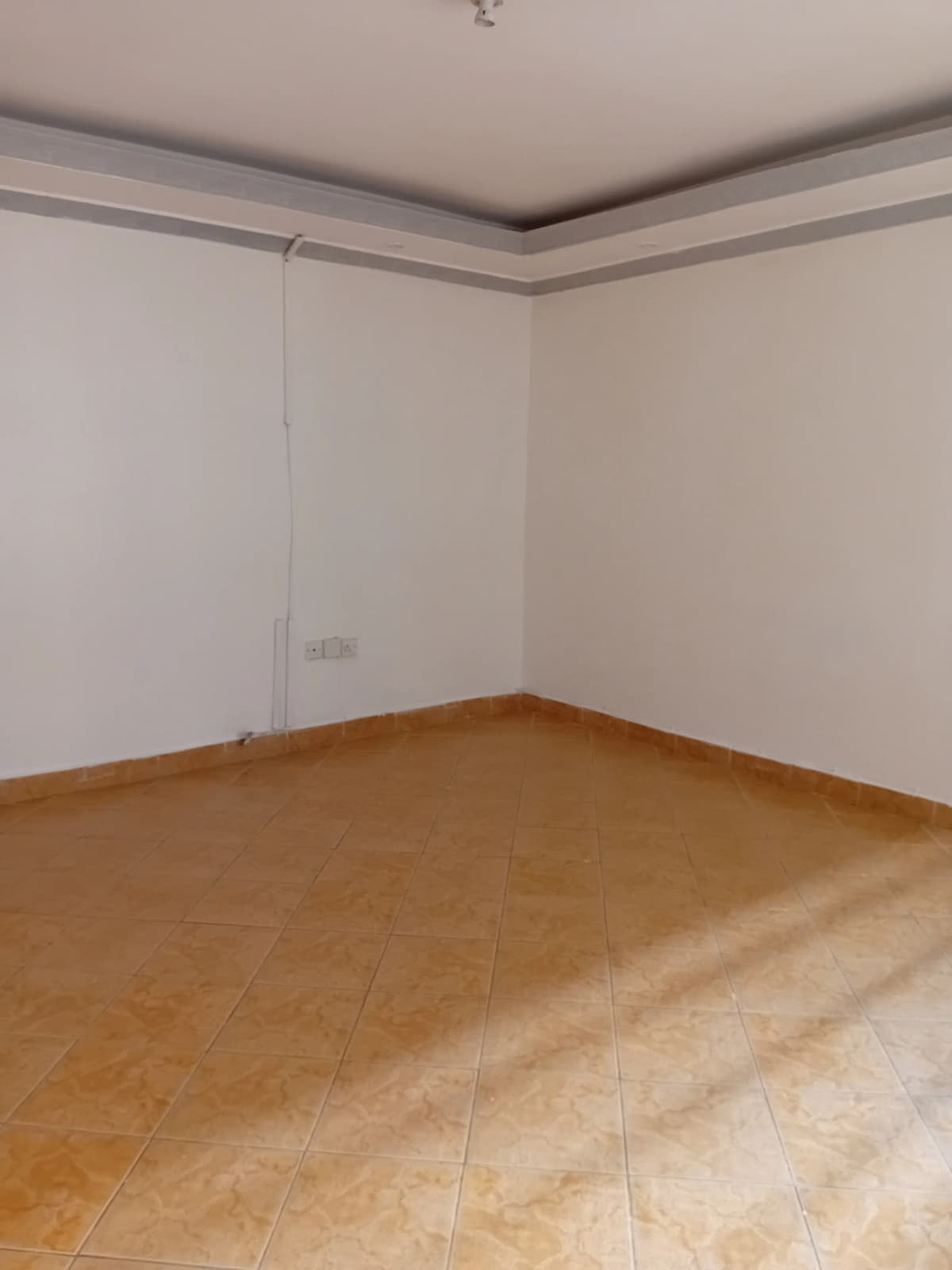 Empty bedroom with wooden floor and neutral walls