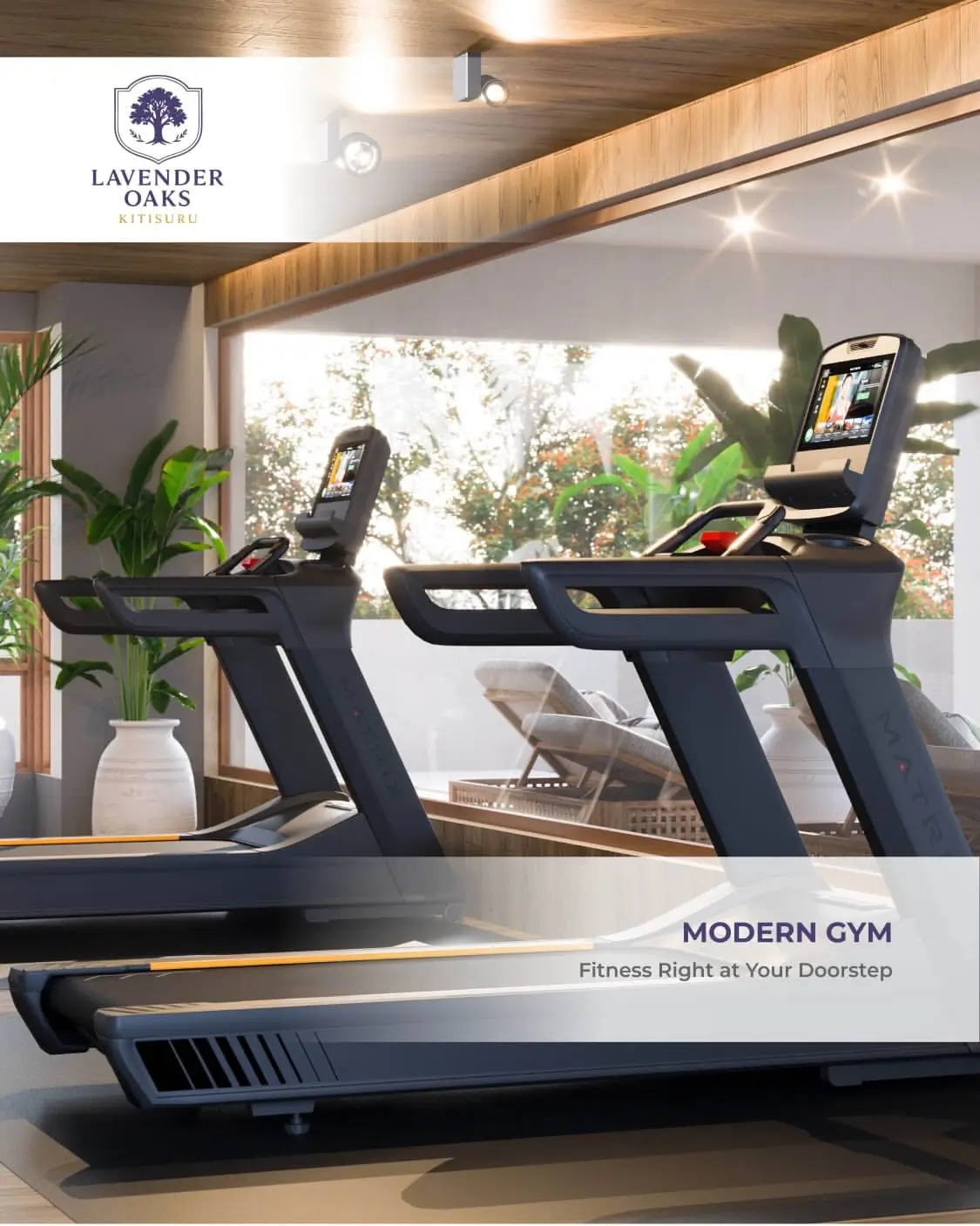 Modern gym with two treadmills and large windows
