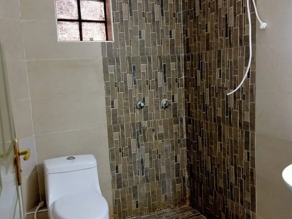 Modern bathroom with tiled shower enclosure and toilet
