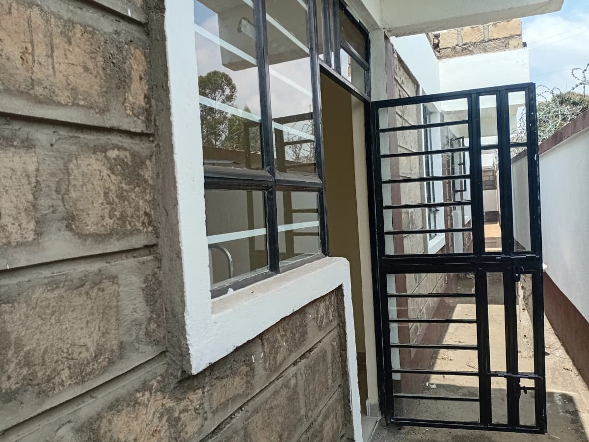 Exterior side passage with metal gate and window
