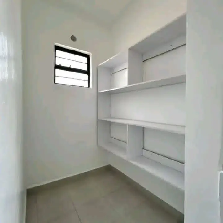 Clean pantry with built-in shelving and high window