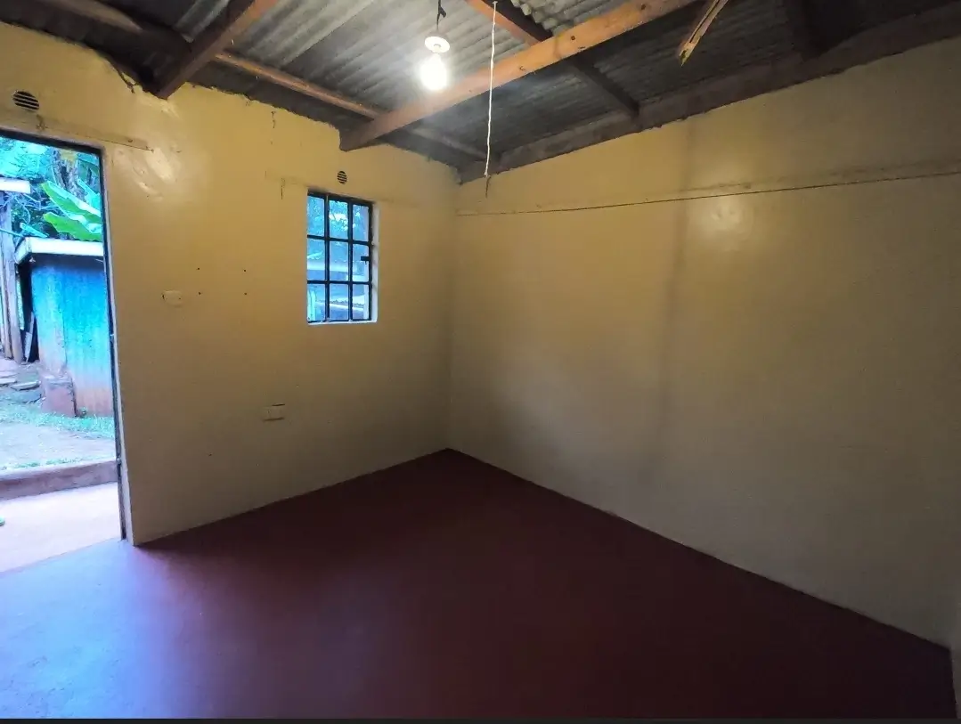 Empty room with yellow walls and dark floor