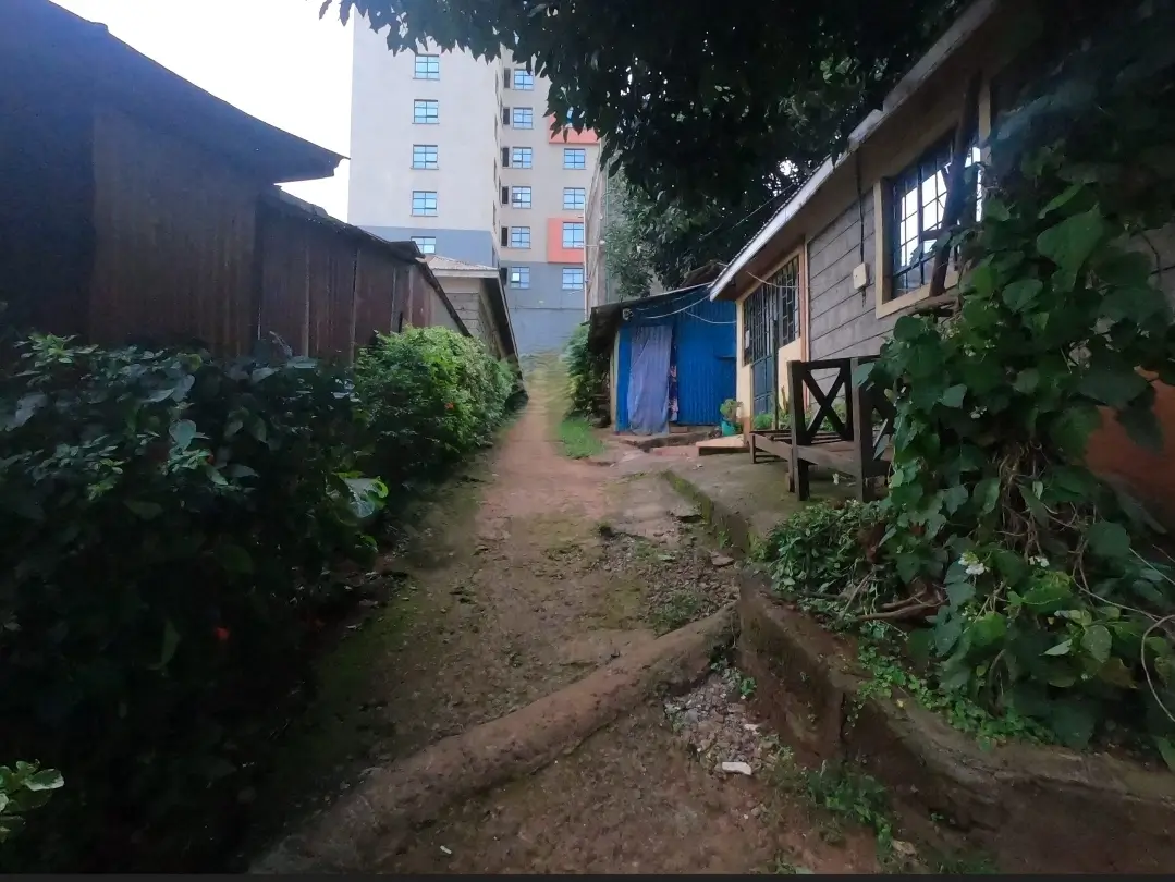 Compound pathway with residential buildings and vegetation