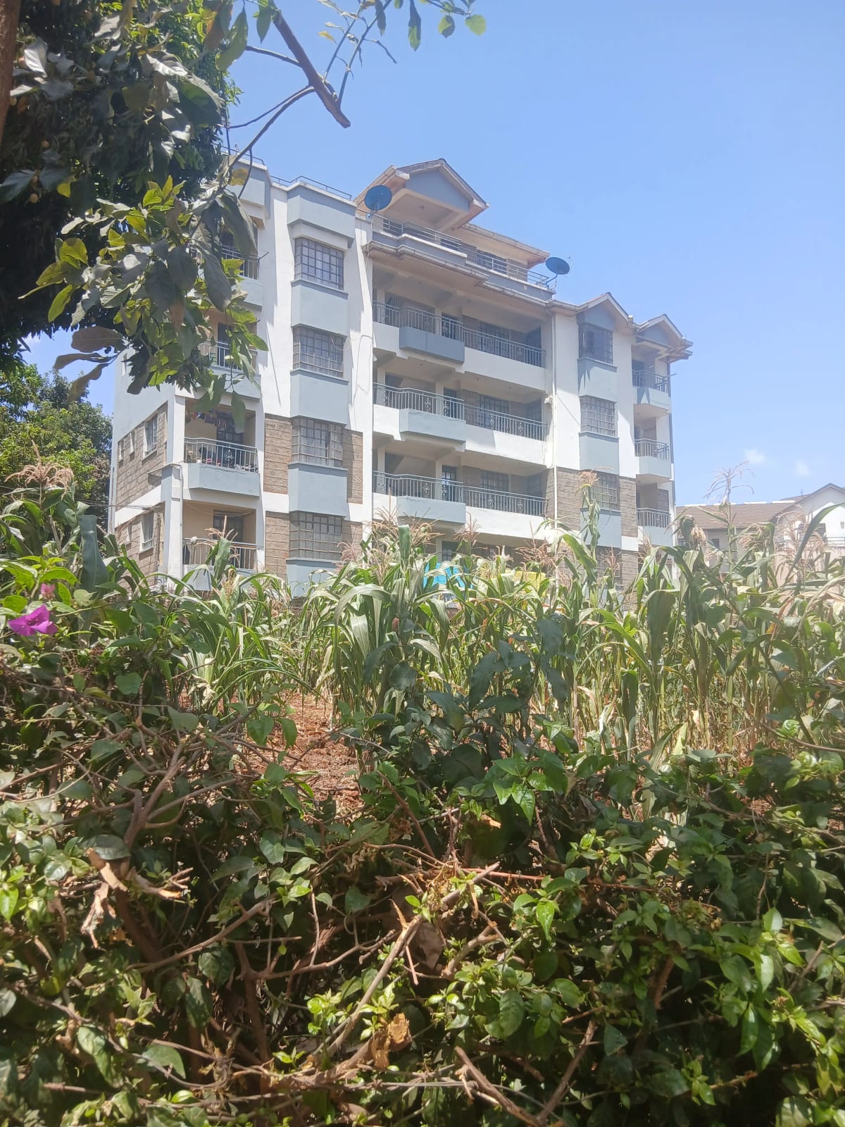 Multi-story residential building with lush garden grounds