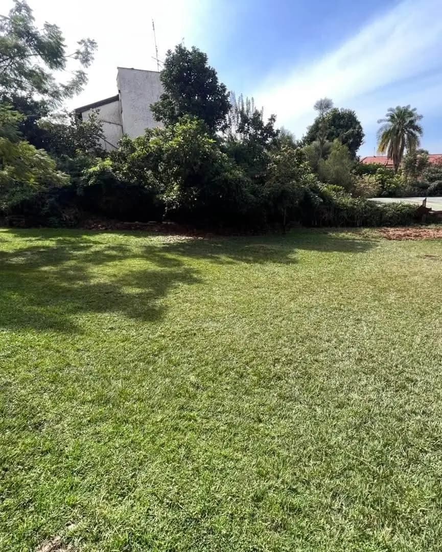 Spacious manicured lawn with mature trees and compound