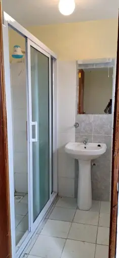Compact bathroom with pedestal sink and shower enclosure