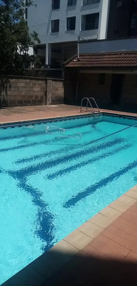 Olympic-sized swimming pool with lane markings, clear blue water